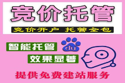 某某企业SEM营销案例：从SEM到全渠道营销的转型之路